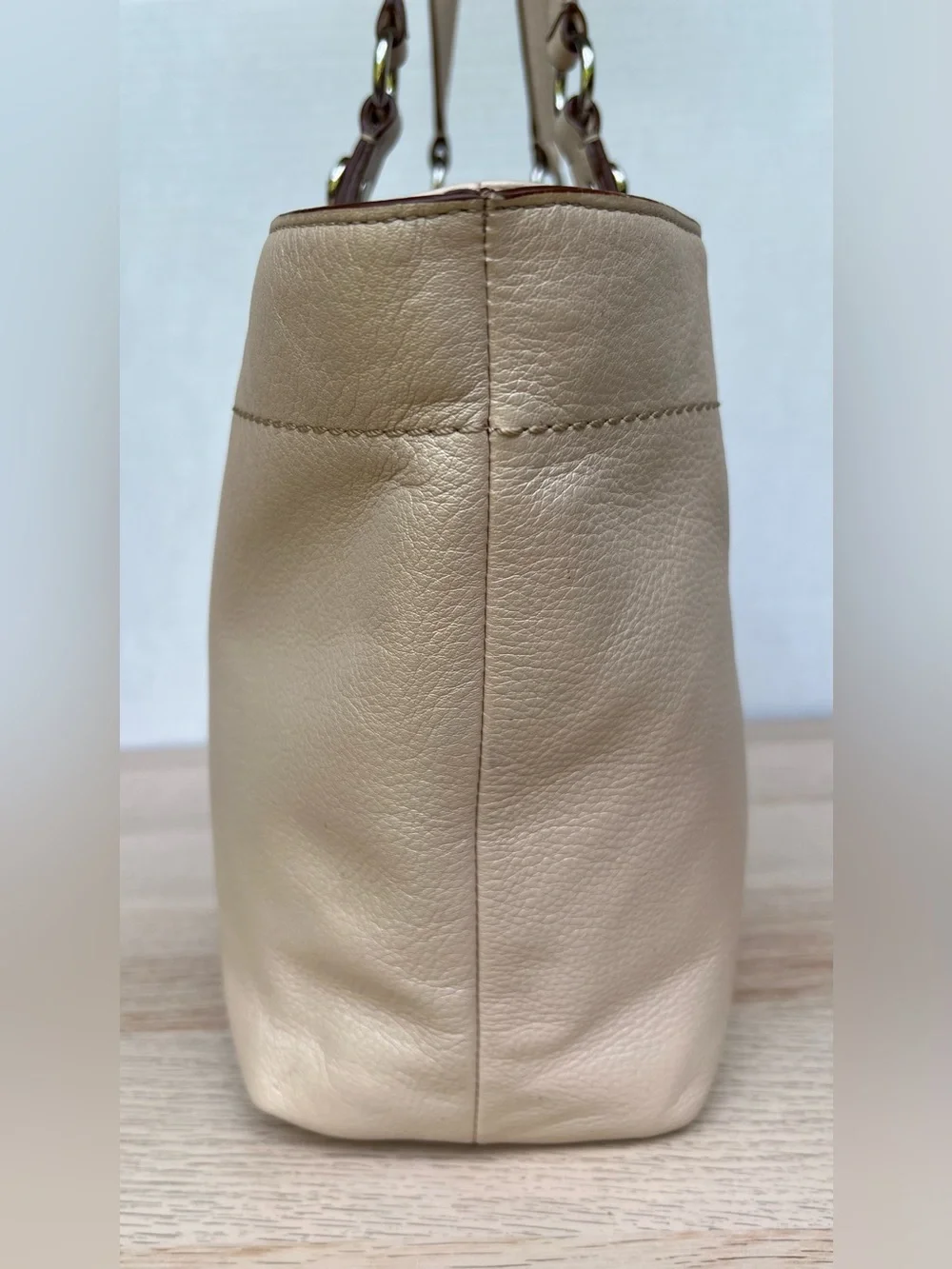 Coach Carly Tote F16174 Pearlized Champagne Shell Leather Shoulder Bag Large